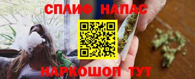 МДПВ Кингисепп