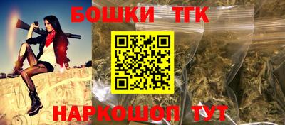 МДПВ Кингисепп
