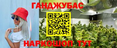 стафф Кинель