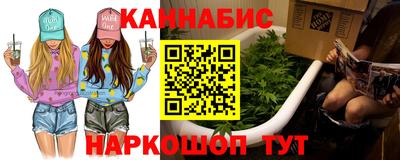 МДПВ Кингисепп