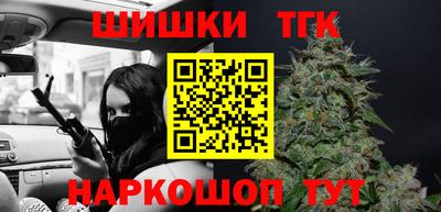 МДПВ Кингисепп