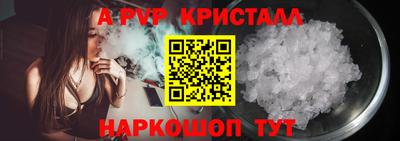 МДПВ Кингисепп