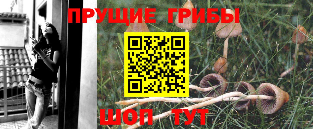 Изобильный  Псилоцибиновые грибы MAGIC MUSHROOMS  Вход с VPN  Галлюциногенные грибы MAGIC MUSHROOMS 